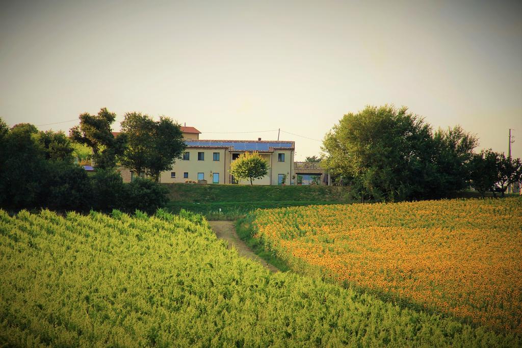 B&B Ceresa - Country House Loreto Exteriör bild
