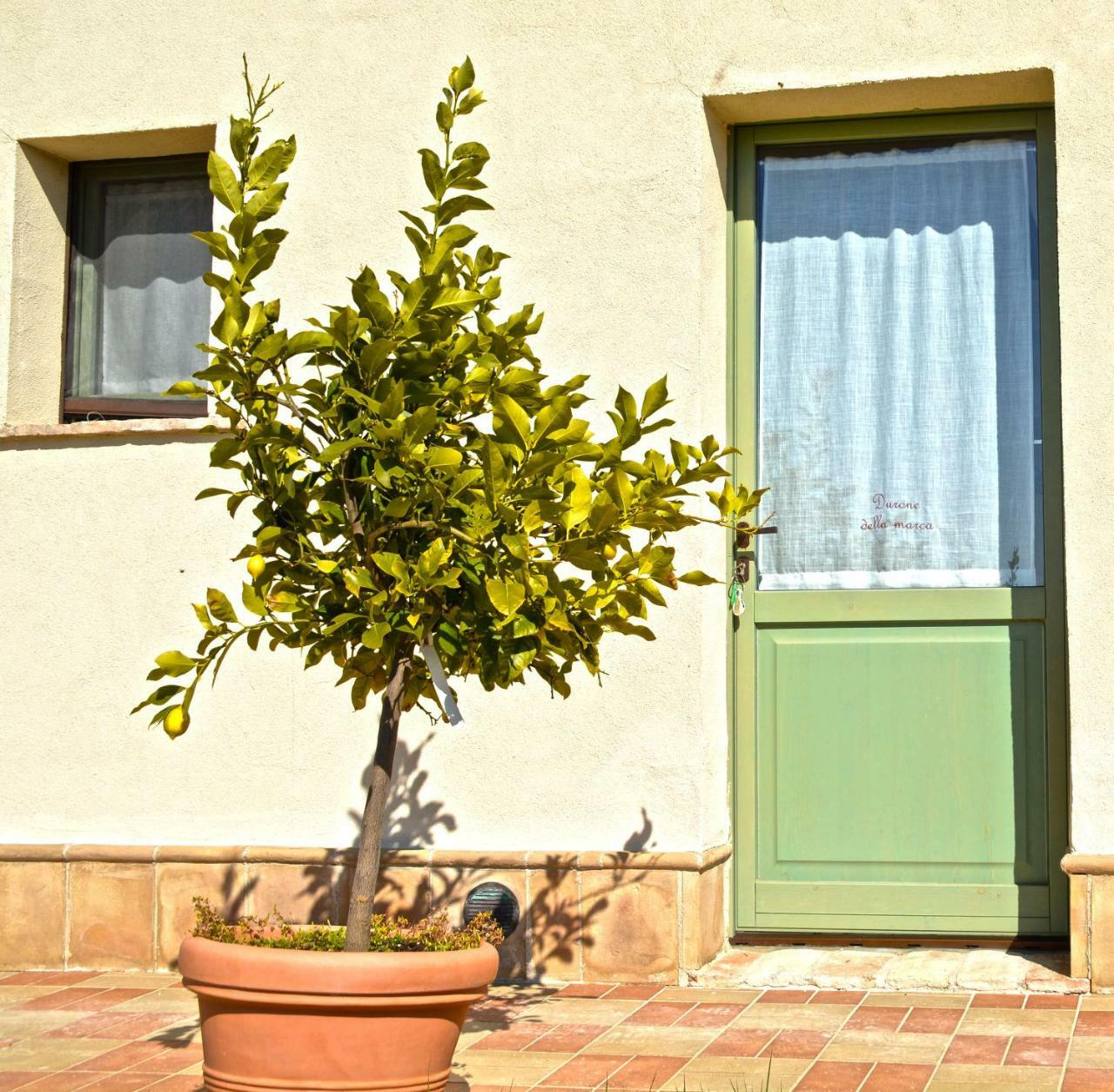 B&B Ceresa - Country House Loreto Exteriör bild